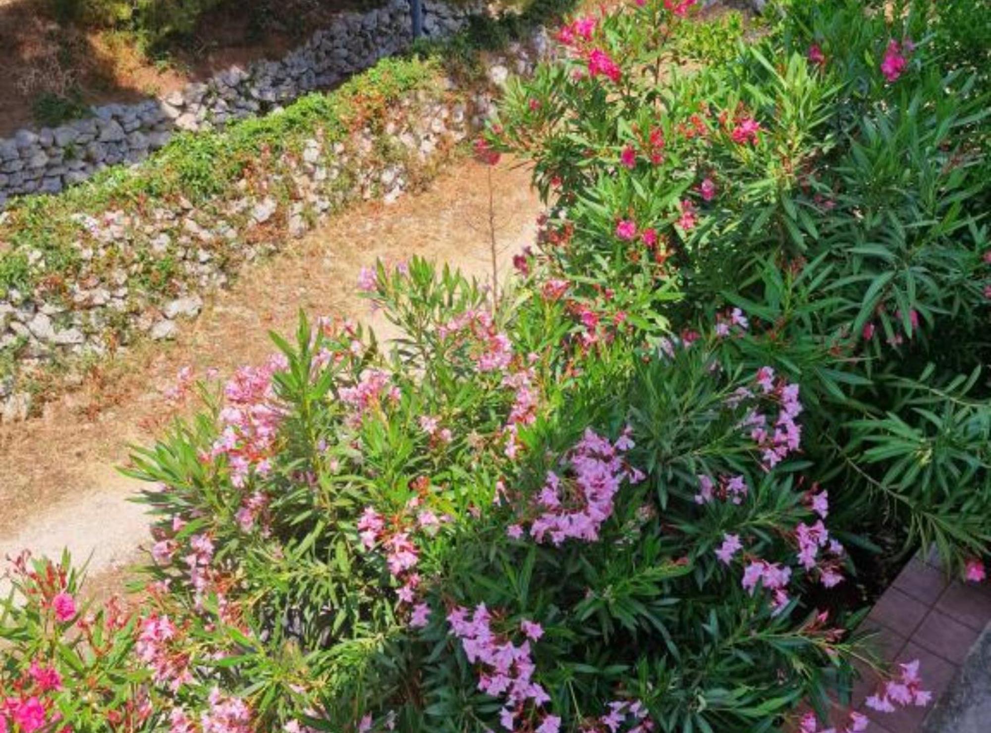 Pansion Belvedere Mali Lošinj Exterior foto